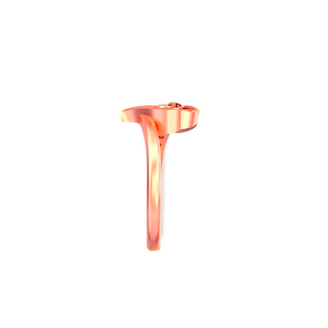 Lover’s Radiance Diamond Ring